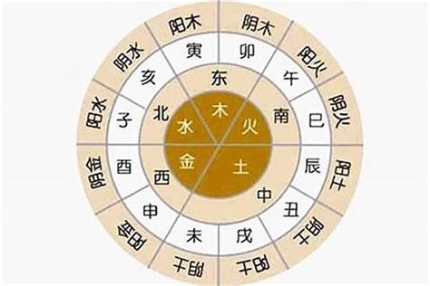 五行木多的人|八字命局木多的人命運如何